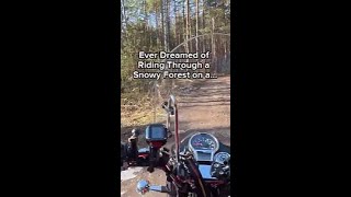 Ever Dreamed of Riding Through a Snowy Forest on a Motorcycle