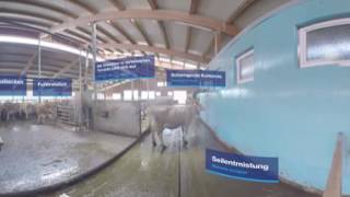 DeLaval 360: Seifried Farm