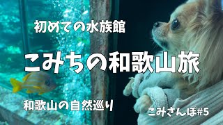 こみち和歌山に行く！ワンコと行ける水族館！こみさんぽ5