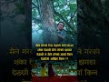 शंका र रिस माया देख्दैनौ ...