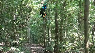 DeepWild2.0_BudongoClimbdown