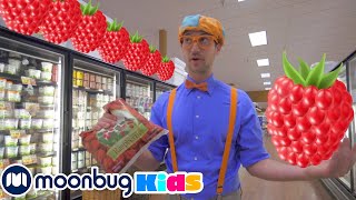 Blippi visita una fábrica de frambuesas - Blippi Españo | Aprende Colores y Objetos