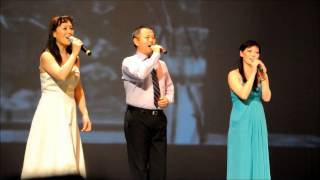 Rolia Gala 2013 歌曲 绿叶对根的情意