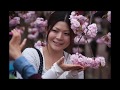 Gil Garcetti: Japan: A Reverence for Beauty