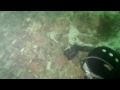 diver s digest scuba testing the knog qudos on it s stock mount