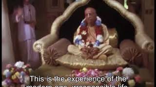 Prabhupada 0207 - Don't Live Irresponsibly