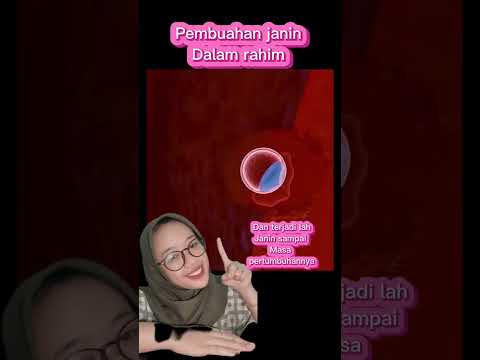 Proses Pembuahan Dalam Rahim Sebelum Terjadinya Kehamilan - Medikacare ...