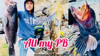 All PB, Monkeyface eel, Lingcod, Cabezon, Black Rockfish and Grassy