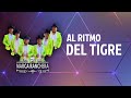 Marca Ranchera - Al Ritmo del Tigre EN VIVO COVER