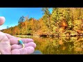 Catch Loads Of Crappie For Dinner Easy With This Fall Fishing Technique!