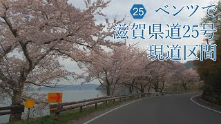 【滋賀県道25号線（現道区間）】　桜並木　琵琶湖　近江八幡市　長命寺　車載動画　4K