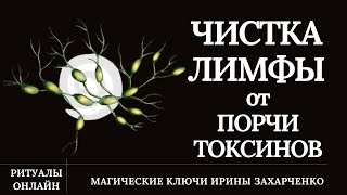 Чистка. Лимфа-lymph. Порча, недомогания, лишняя жидкость, воспаление, хронические болезни.