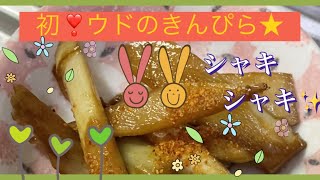 【初❣️ウドのきんぴら】