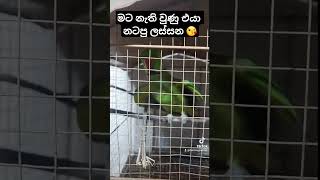 ලෝබ නැතුව sub කරමු 😘😘😘