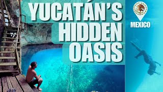 Discover Yucatan's Best Cenote: Freediving \u0026 Cliff Jumping Adventure