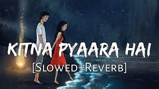 Kitna Pyaara Hai Yeh Chehra [ Slowed & Reverb ] #lofi #music #kitnapyarahyechehra #oldhindisong
