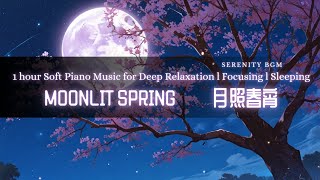 【 Serenity BGM  Moonlit Spring】1  hour Soft Piano Music for Deep Relaxation l Focusing l Sleeping 🌸