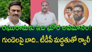 The value TDP gives to AP Deputy Speaker Raghuramakrishnan Raju ||  AP PRIDE