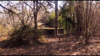 Exploring Abandoned Home at Worlds Largest Cedar Tree: You Decide