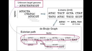 Gene Mapping - 1010 Genome