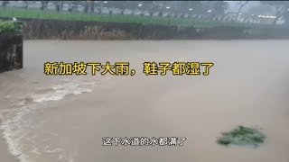 新加坡下大雨，下水道的水都满了，下班回来，鞋子都湿透了