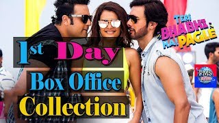 Teri Bhabhi Hai Pagle 1st Day Box office Collection | Worldwide Box Office Collection Report