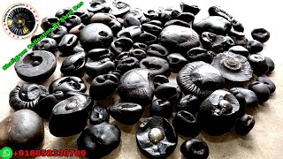 Shaligram ,  types of shaligram stone