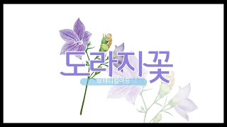 보태니컬아트 도라지꽃(h\u0026B 색연필사용) #그림공방아트집#botanical #보태니컬 #색연필그림#도라지꽃