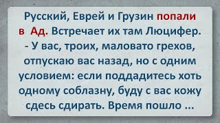 Анекдот -  Русский, Еврей и Грузин Попали в Ад