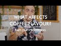 What Affects Coffee Flavour? Part 1 - Processing Methods