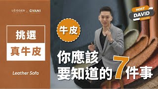 挑選真牛皮，你應該要知道的７件事【GVANI格利 家具規劃師不藏私秘笈】