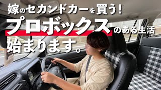 嫁のセカンドカー探しスタート！ハイエースよりも気軽に乗れる車、選んだのはコレです。【プロボックス】