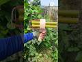 Handmade Survival Craft Skill #diy #craft #youtubeshorts #wood #bamboo #survival