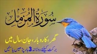 Surah muzzammil |beautiful recitation| Ghar karobar ki barkat kalea سورہ المزمل
