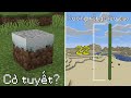 Những Thứ SIÊU HIẾM Trong Minecraft Mà Có Thể Các Bạn Chưa Nghe Đến Bao Giờ - Xương Rồng 22 Block!