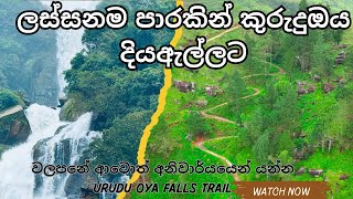 කිලෝමීටර් 4ක ලංකාවේ ලස්සනම trail එක 🍃 / නුවරඑළියේ වලපනේ එනවනම් අනිවාර්යයෙන් යන්න / Kurudu oya  trail