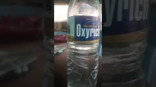 Dead Fly in oxyrich mineral water bottle