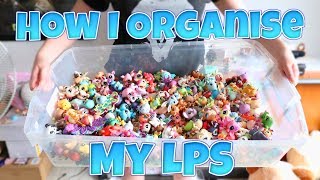 How I Organise My LPS \u0026 Accessories (UPDATED)