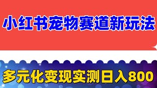 小红书宠物赛道配合私域转化玩法，实测日入800的项目 多元化的变现方式 适合新手小白操作，简单无脑