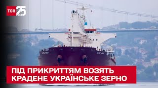 🚢 Ще три російські кораблі під прикриттям возять крадене українське зерно