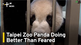 China Panda Experts Find Taipei Zoo's Tuan Tuan in Better Health | TaiwanPlus News