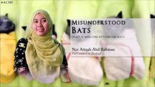 Misunderstood Bats [Part 1] Misconception On Bats