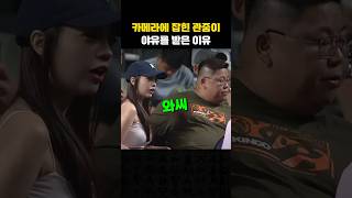 전세계를 놀라게 만든 야구장 관객