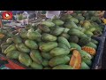 durian oh durian di kubah ria kuching sarawak malaysia part 4 32