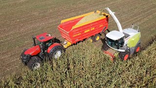 Schuttenbeld chopping corn