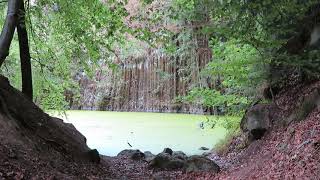 Old Basalt quarry Löhnberg near Weilburg, Germany. Reste eines alten Steinbruchs ganannt blauer See.