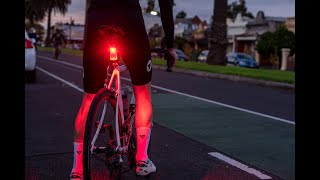 FLOCK LIGHT - The Bike Light that Lights up Your Legs