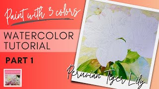 Stunning Peruvian Tiger Lilly Watercolor Painting: Part 1