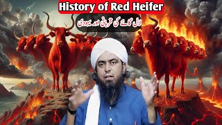 🔥Lal گائے Ki Qurbani Or Yahodi | Red Heifer End Of Dajjal | Engineer Muhammad Ali Mirza