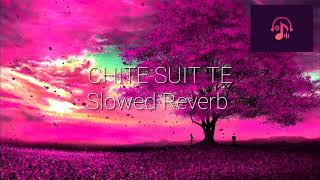Chite Suit Te | Geeta Zaildar | Punjabi song | Slowed+Reverb